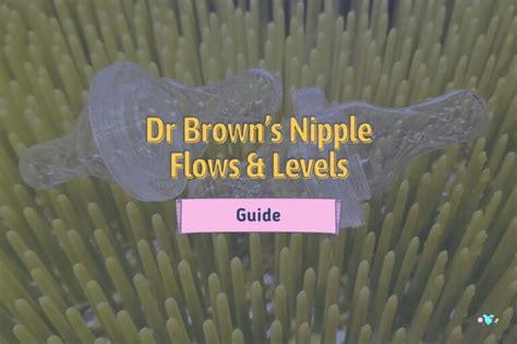 dr brown nipple|Parent/Caregiver Nipple Flow Guidelines